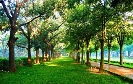 Places to visit in Bangalore for a weekend trip Cubbon Park